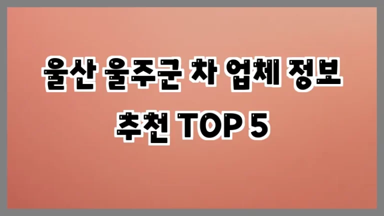 울산 울주군 차 업체 정보 추천 TOP 5