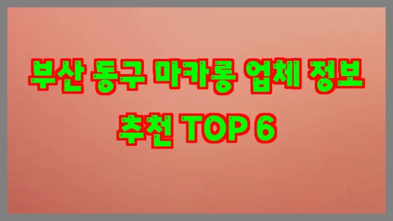 부산 동구 마카롱 업체 정보 추천 TOP 6