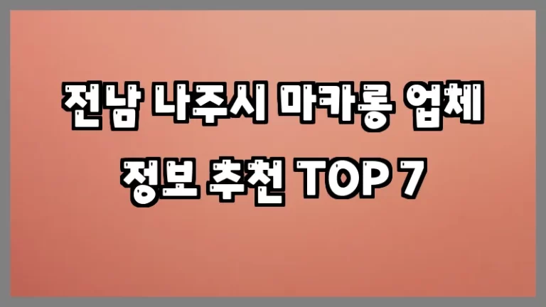 전남 나주시 마카롱 업체 정보 추천 TOP 7