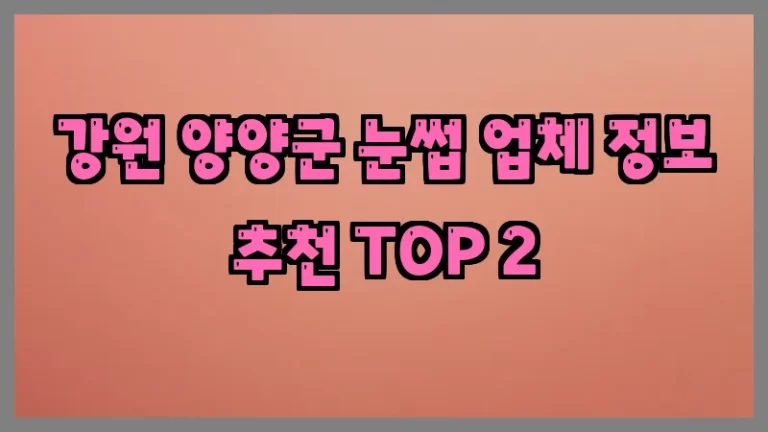 강원 양양군 눈썹 업체 정보 추천 TOP 2