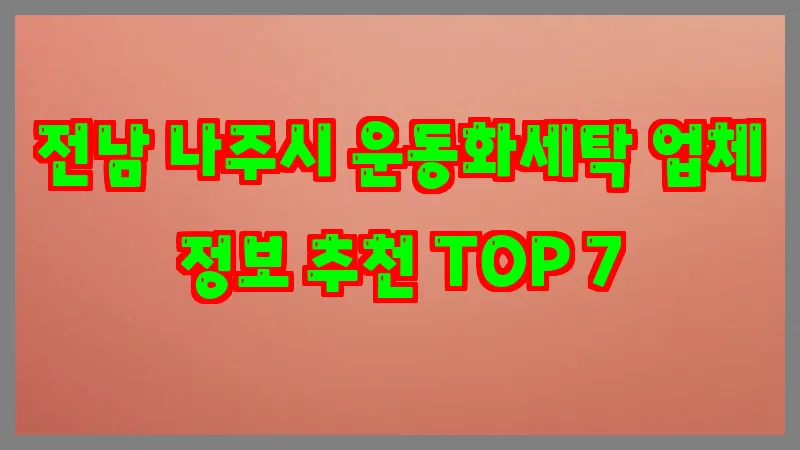 전남 나주시 운동화세탁