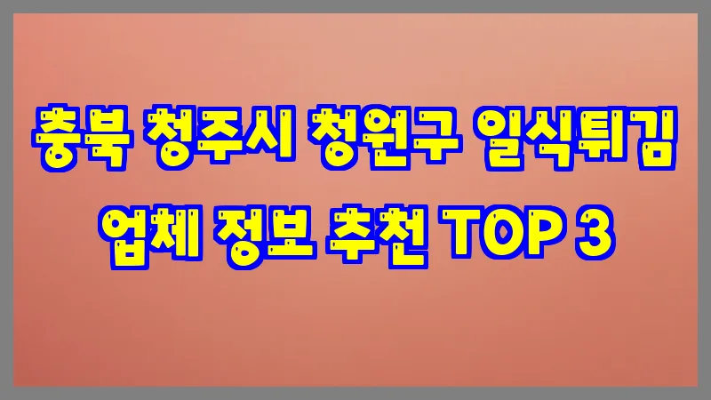 충북 청주시 청원구 일식튀김
