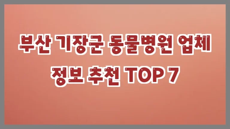 부산 기장군 동물병원 업체 정보 추천 TOP 7