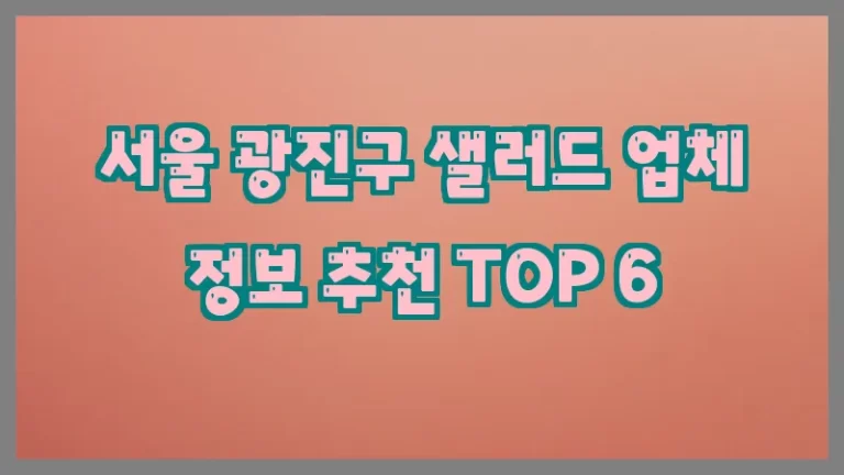 서울 광진구 샐러드 업체 정보 추천 TOP 6