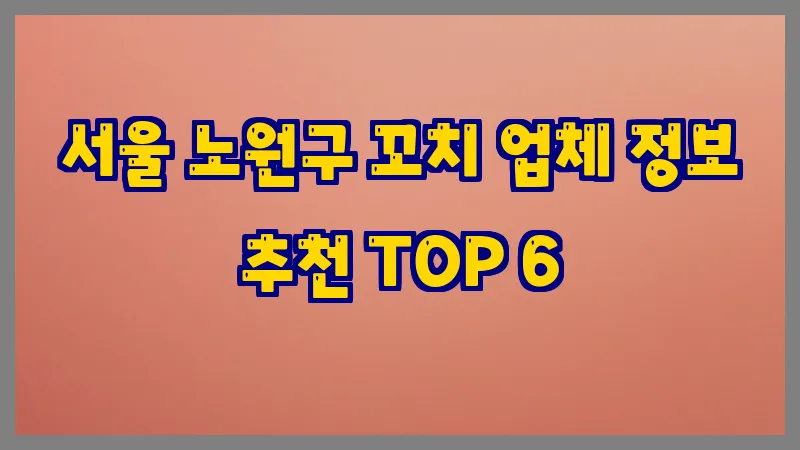서울 노원구 꼬치 업체 정보 추천 TOP 6