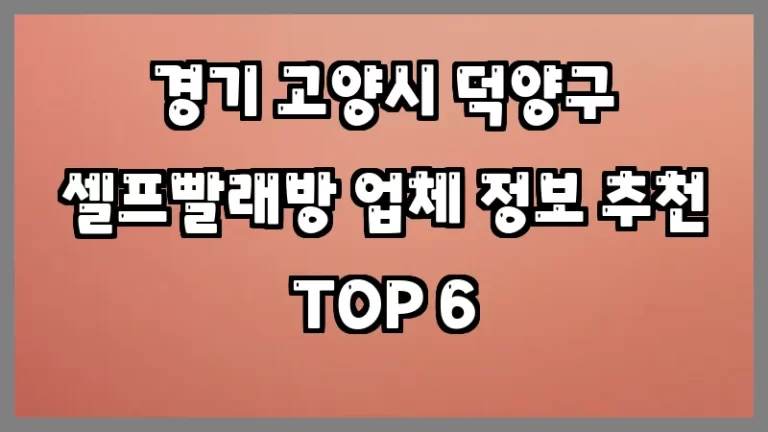 경기 고양시 덕양구 셀프빨래방 업체 정보 추천 TOP 6