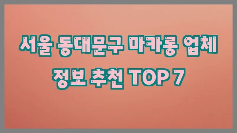 서울 동대문구 마카롱 업체 정보 추천 TOP 7