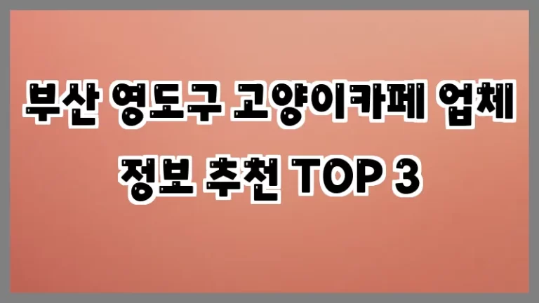 부산 영도구 고양이카페 업체 정보 추천 TOP 3