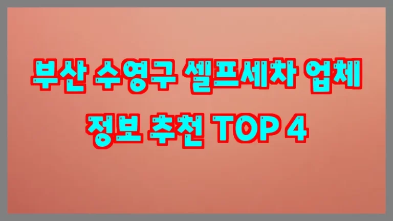 부산 수영구 셀프세차 업체 정보 추천 TOP 4