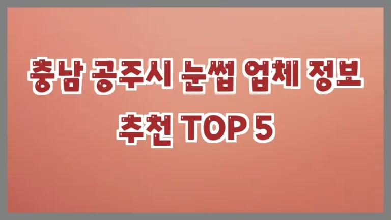 충남 공주시 눈썹 업체 정보 추천 TOP 5