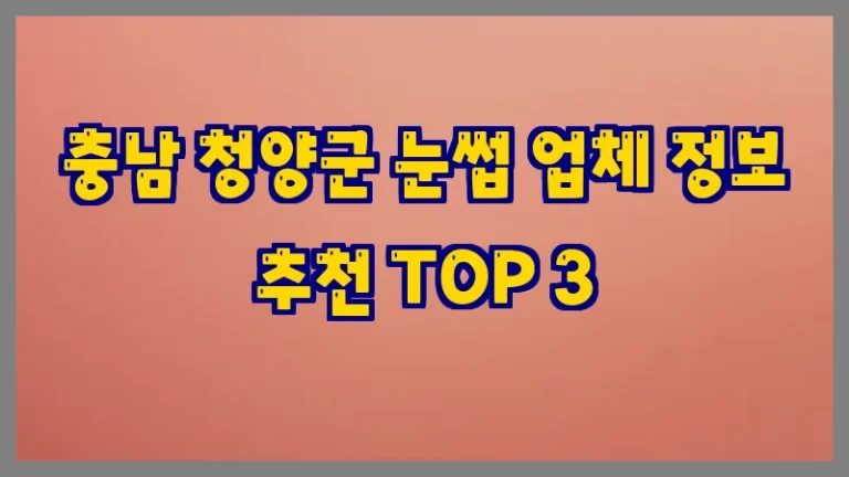 충남 청양군 눈썹 업체 정보 추천 TOP 3