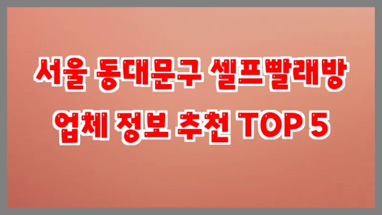 서울 동대문구 셀프빨래방 업체 정보 추천 TOP 5