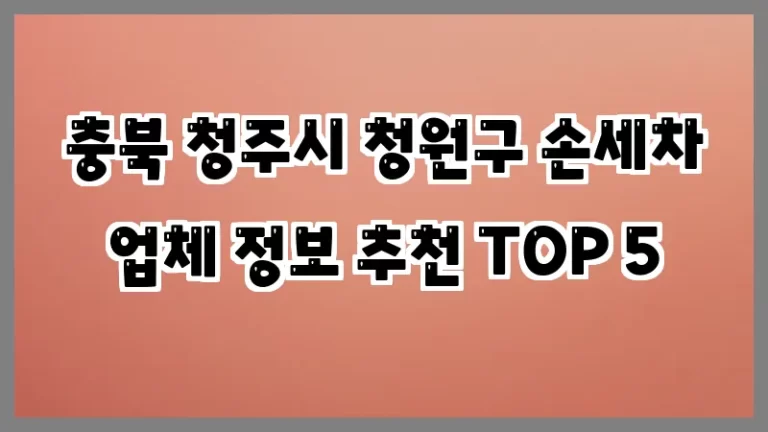 충북 청주시 청원구 손세차 업체 정보 추천 TOP 5