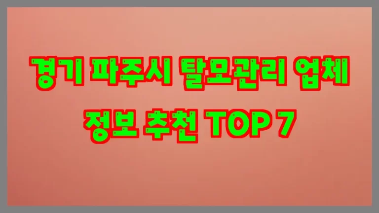 경기 파주시 탈모관리 업체 정보 추천 TOP 7