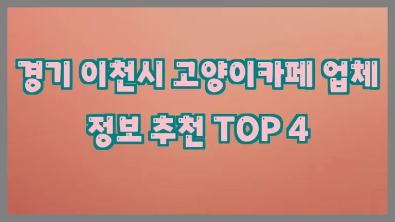 경기 이천시 고양이카페 업체 정보 추천 TOP 4