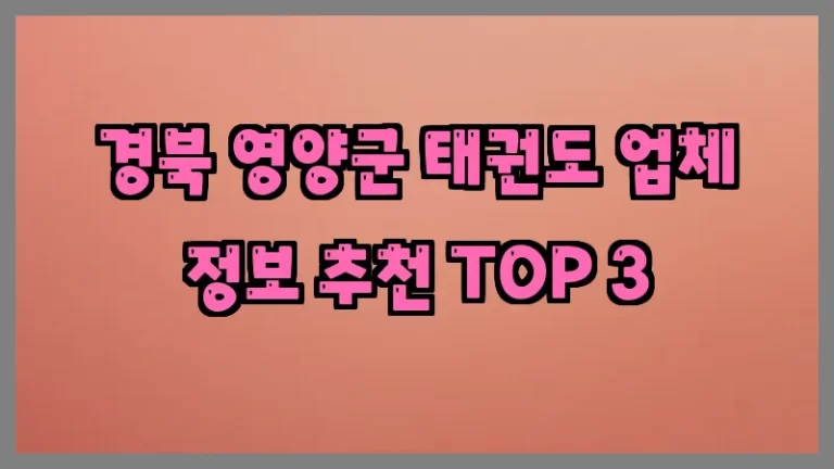 경북 영양군 태권도 업체 정보 추천 TOP 3