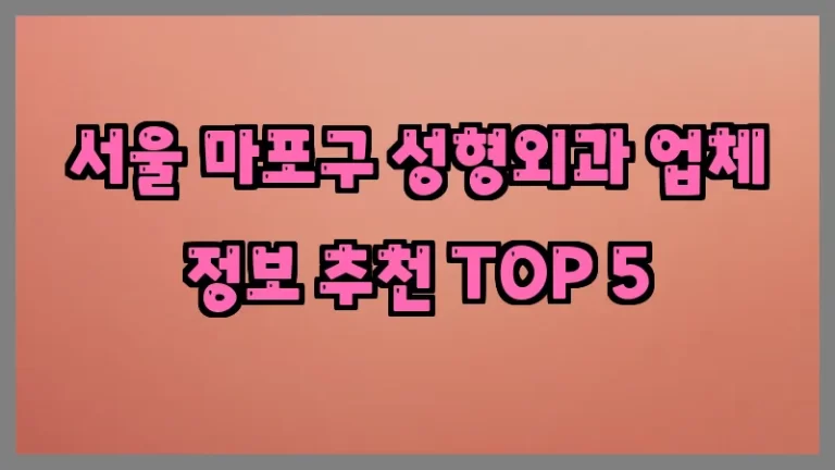 서울 마포구 성형외과 업체 정보 추천 TOP 5