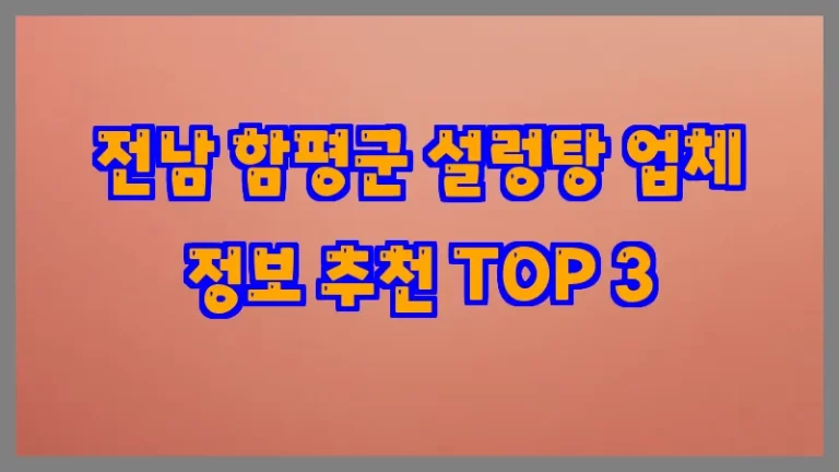 전남 함평군 설렁탕 업체 정보 추천 TOP 3