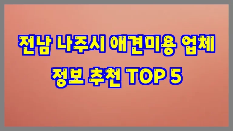 전남 나주시 애견미용 업체 정보 추천 TOP 5