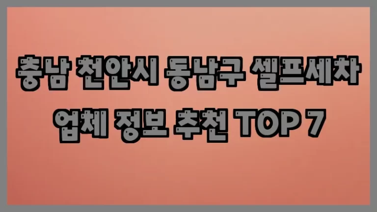 충남 천안시 동남구 셀프세차 업체 정보 추천 TOP 7