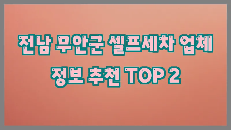 전남 무안군 셀프세차