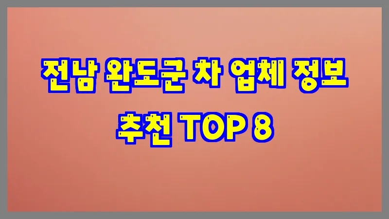 전남 완도군 차