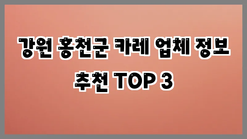 강원 홍천군 카레 업체 정보 추천 TOP 3