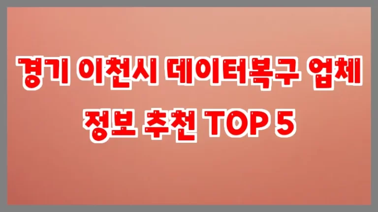 경기 이천시 데이터복구 업체 정보 추천 TOP 5