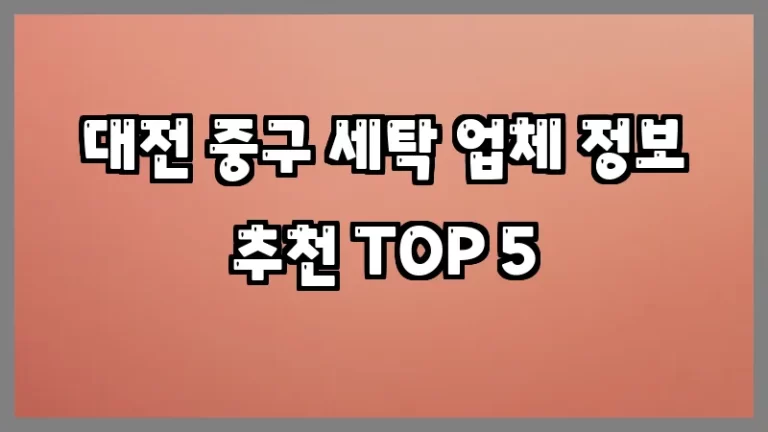 대전 중구 세탁 업체 정보 추천 TOP 5