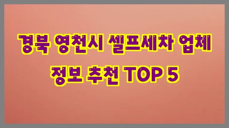 경북 영천시 셀프세차 업체 정보 추천 TOP 5