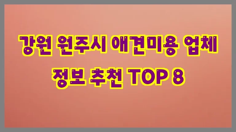 강원 원주시 애견미용 업체 정보 추천 TOP 8