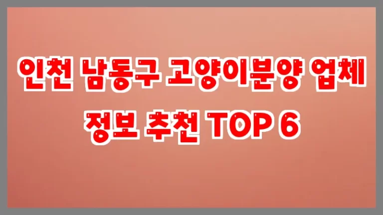 인천 남동구 고양이분양 업체 정보 추천 TOP 6