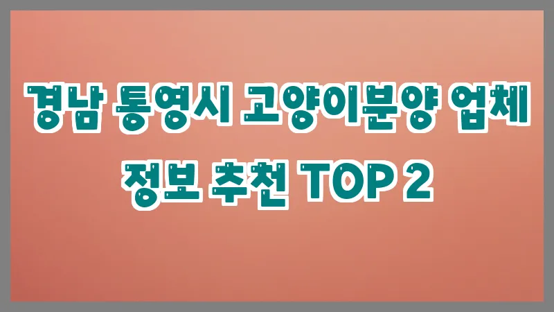 경남 통영시 고양이분양 업체 정보 추천 TOP 2