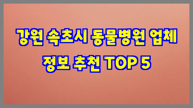 강원 속초시 동물병원