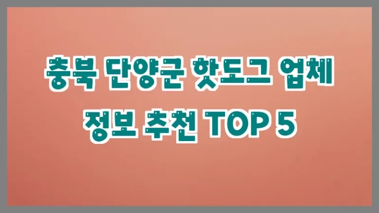 충북 단양군 핫도그 업체 정보 추천 TOP 5