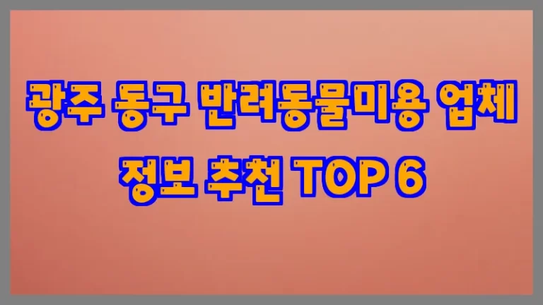 광주 동구 반려동물미용 업체 정보 추천 TOP 6