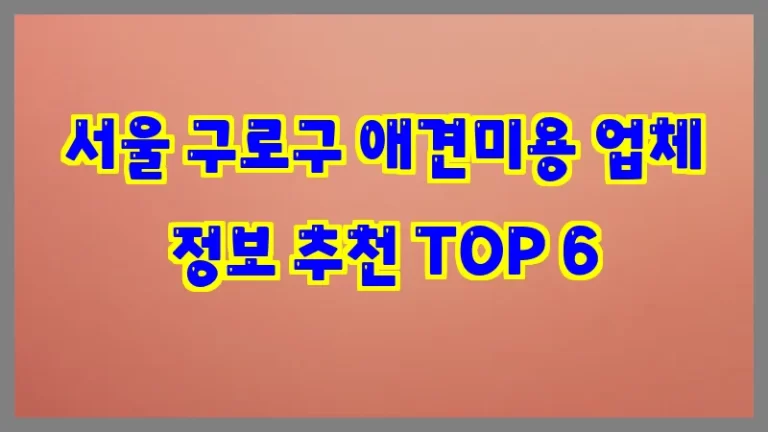 서울 구로구 애견미용 업체 정보 추천 TOP 6