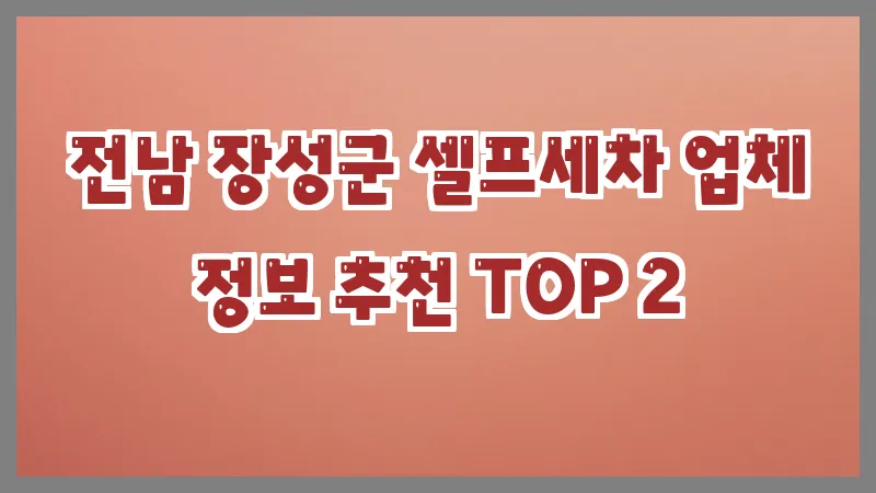 전남 장성군 셀프세차