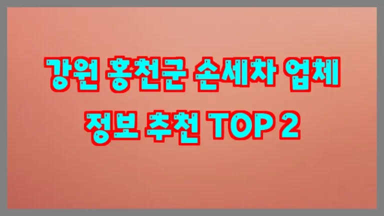 강원 홍천군 손세차 업체 정보 추천 TOP 2
