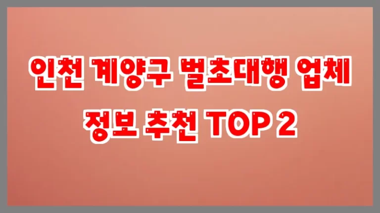 인천 계양구 벌초대행 업체 정보 추천 TOP 2