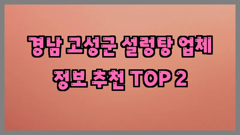 경남 고성군 설렁탕