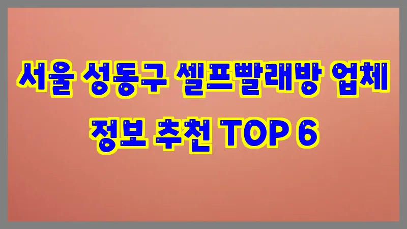 서울 성동구 셀프빨래방