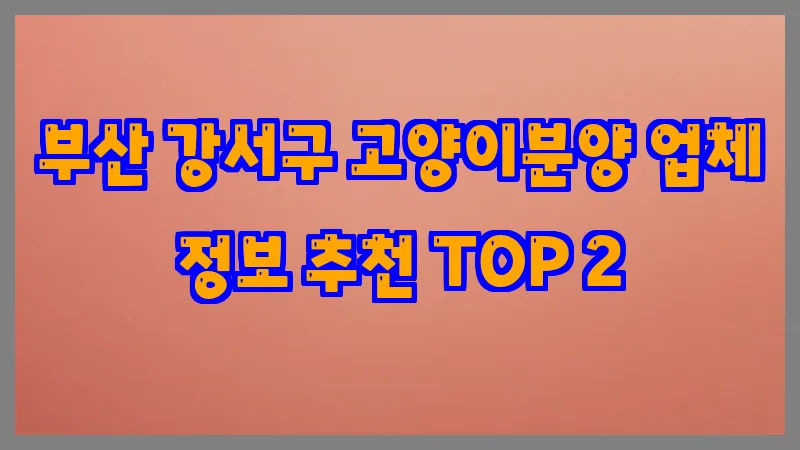 부산 강서구 고양이분양 업체 정보 추천 TOP 2