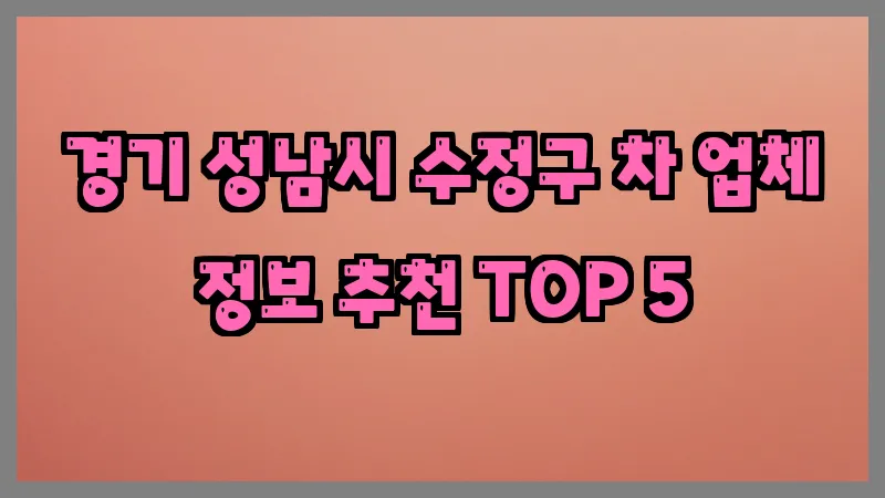 경기 성남시 수정구 차 업체 정보 추천 TOP 5