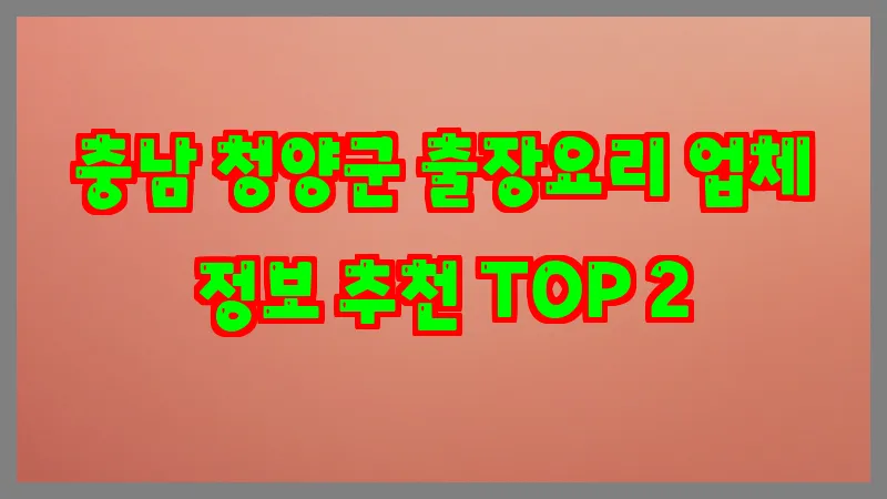 충남 청양군 출장요리 업체 정보 추천 TOP 2