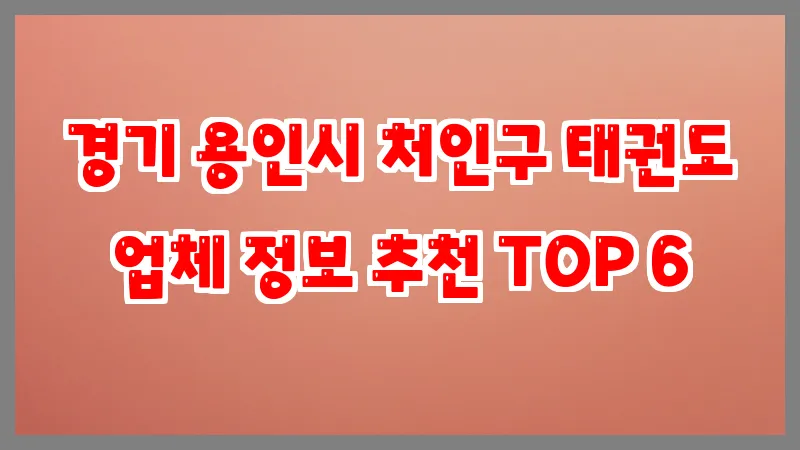 경기 용인시 처인구 태권도 업체 정보 추천 TOP 6
