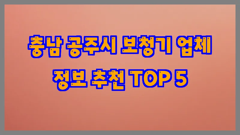 충남 공주시 보청기