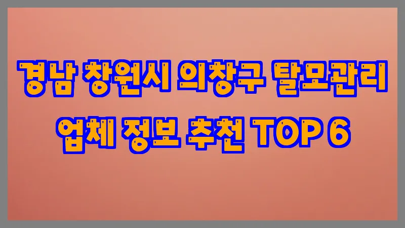 경남 창원시 의창구 탈모관리 업체 정보 추천 TOP 6