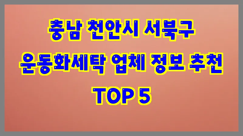 충남 천안시 서북구 운동화세탁