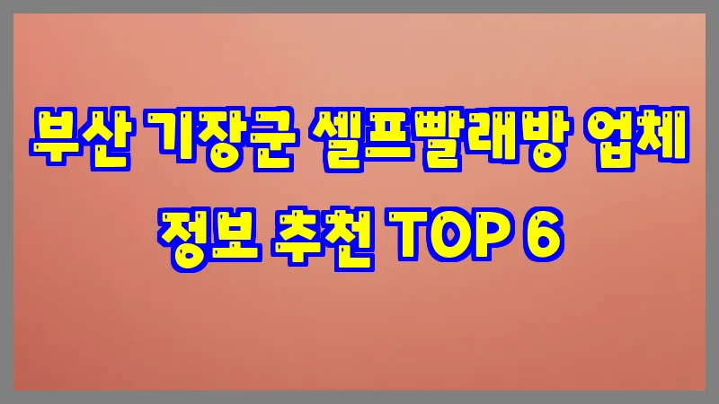 부산 기장군 셀프빨래방 업체 정보 추천 TOP 6